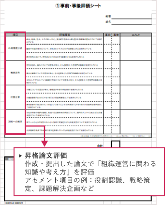 昇格論文評価項目：作成・提出した論文で「組織運営に関わる知識や考え方」を評価。アセメント項目の例：役割認識、戦略策定、課題解決企画など