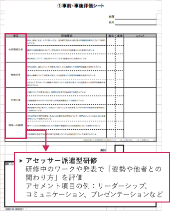 アセッサー派遣型研修：研修中のワークや発表で「姿勢や他者との関わり方」を評価。アセメント項目の例：リーダーシップ、コミュニケーション、プレゼンテーションなど