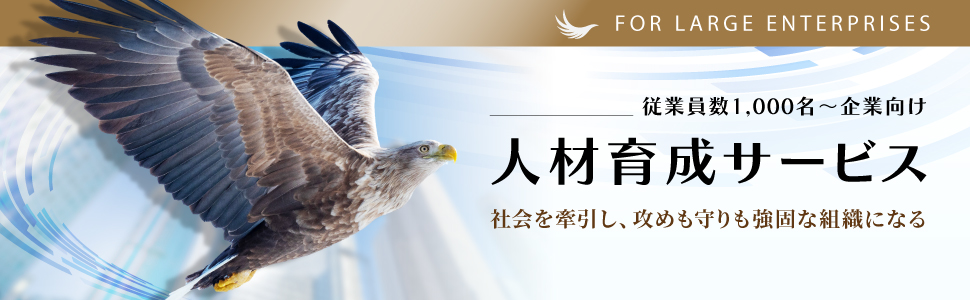 教育・研修サービス　大企業向け