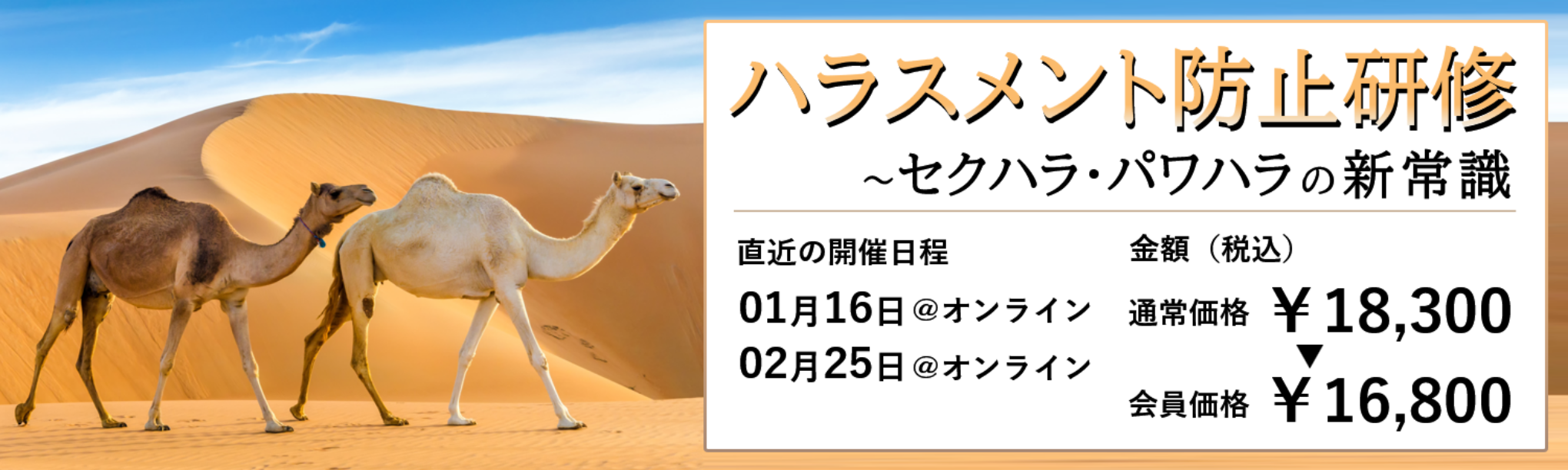 (半日研修)ハラスメント防止研修~セクハラ・パワハラの新常識